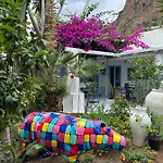 Art Bed & Breakfast